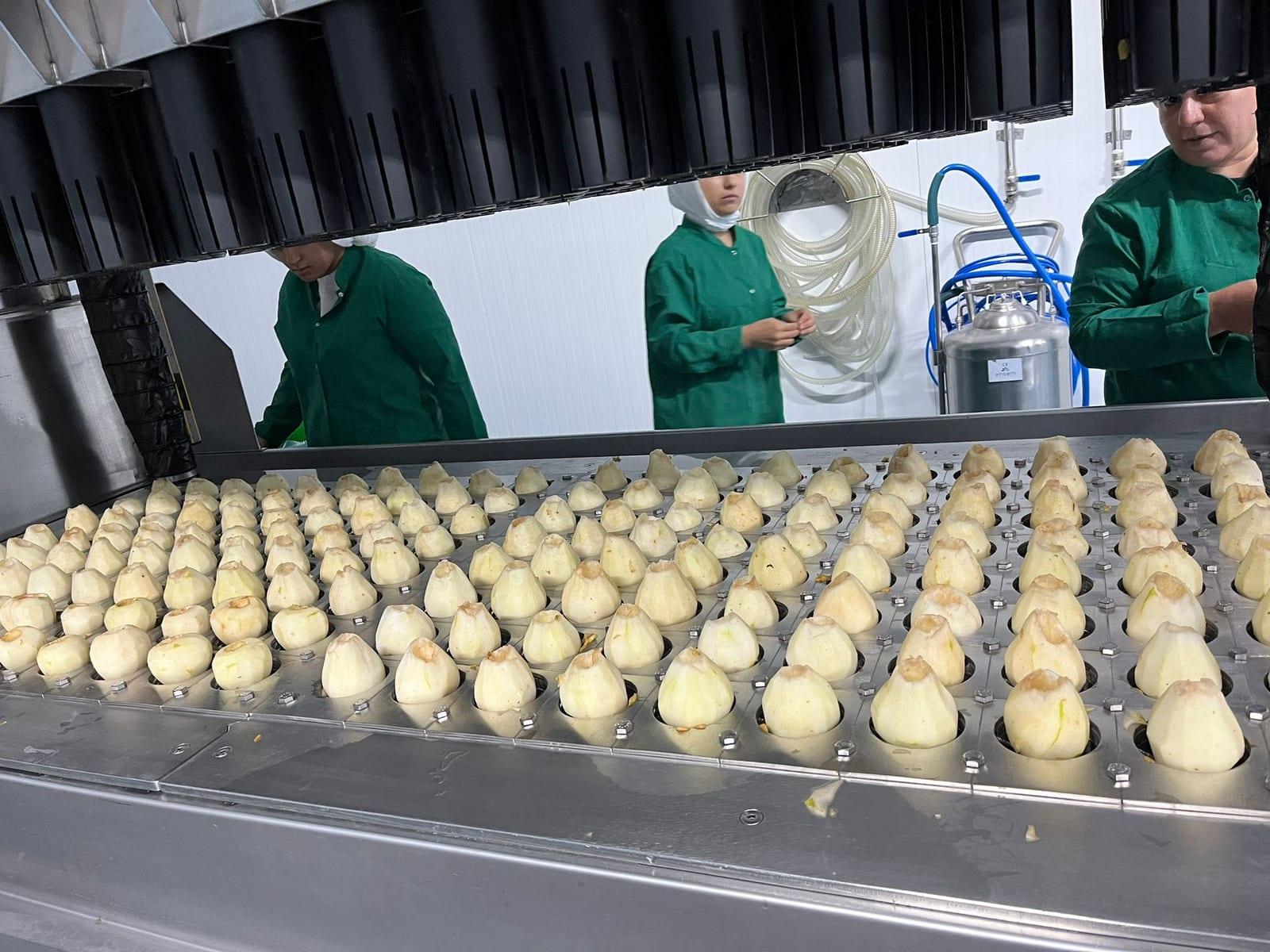 Peeled figs moving along the conveyor of the Frenk's Aden production line